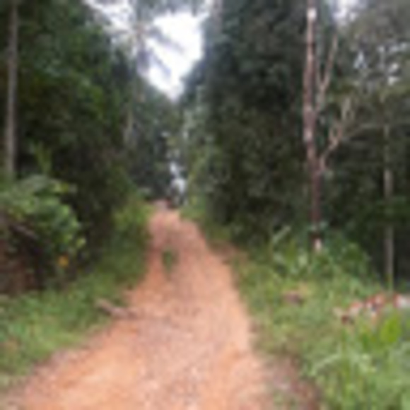 Meet your Posher, Tori - Picture 1 of 1